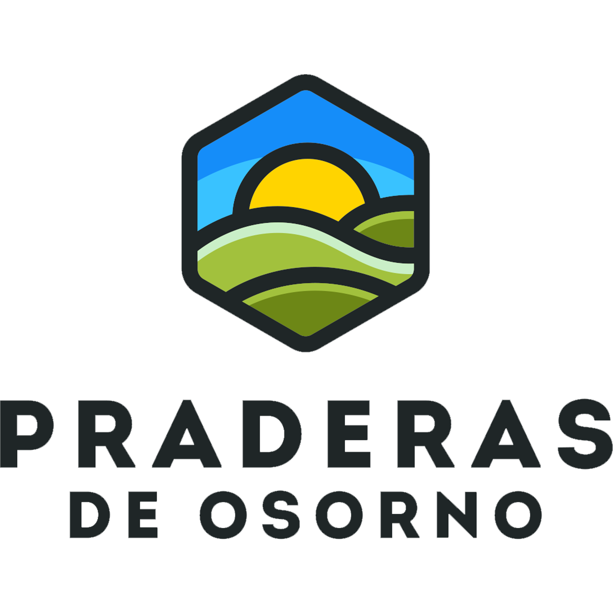 PARCELAS EN OSORNO